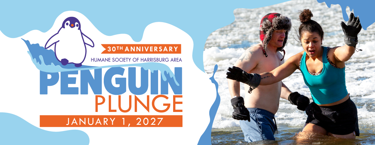 Penguin Plunge 2027